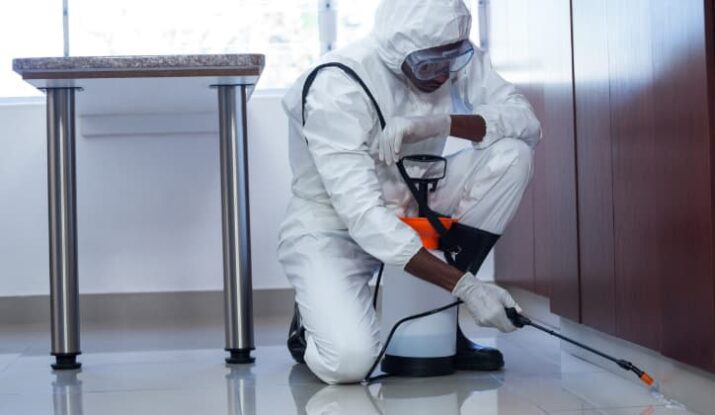 شركة مكافحة حشرات بالدمام